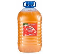 Жидкое мыло "Базовая Дезинфекция" Спринтер Цитрус 5л. (ПЭТ) М628