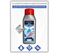 Очиститель накипи для утюгов TOP HOUSE 250 мл 391244