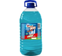 Средство для мытья стекол Золушка Чистые окна 5 л, с нашат. спиртом, кан. ПЭТ, 4 штуки Ч-21-18с