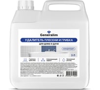Удалитель плесени и грибка для дома и дачи Generalim концентрат, 3 л GNR0037
