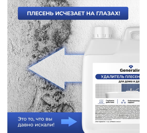 Удалитель плесени и грибка для дома и дачи Generalim концентрат, 3 л GNR0037