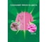 Гель для стирки Ariel Color 1.560л 0001220458 6