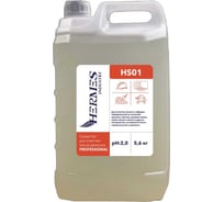 Средство для очистки после ремонта HERMES INDUSTRY Professional HS01 5.6 кг PS0010225