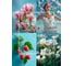 Декоративный ароматизатор Breesal Arome Fleur Мелодия чувств B/D20173 4