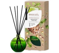 Декоративный ароматизатор Breesal Arome Sticks Жизненная энергия ARST/002