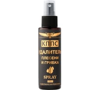 Удалитель плесени и грибка КППС SPRAY 110 мл УТ003520890