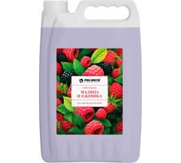 Жидкое крем-мыло Pro-Brite малина и ежевика, 5 л 1612-5