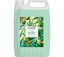 Жидкое крем-мыло Pro-Brite алоэ вера и олива, 5 л 1611-5