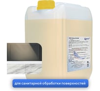 Концентрированное жидкое пенное щелочное средство на основе гипохлорита натрия для дезинфекции ООО АСАНА ТМ ТопХлор Актив,10л. арт. П-07-12