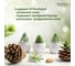 Мыло-пенка для рук и тела аромат Pine Honey 300 мл DUKE'S HOME WONDERS DS030 6