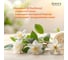 Мыло-пенка для рук и тела аромат Jasmine Tea 300 мл DUKE'S HOME WONDERS DS027 6