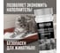 Ликвидатор запаха для кошачьего туалета RASTVOR Сосновый бор 400 г RAS0084 5