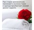 Кондиционер для стирки белья Jundo Премиум Мягкий шелк, 1 л 4903720041499 4