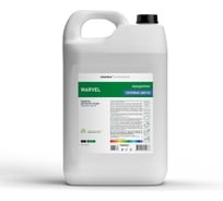 Средство для мытья посуды CleanBox Professional Marvel Полевые цветы 5 л 1320518