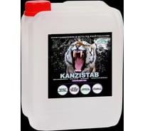 Химия для бассейна КЕНАЗ КАНЗИСТАБ без слива воды, уборка бассейна от налета, известковых отложений, чистка фильтра, 5 л 809417