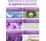 Капсулы для стирки ECOWASH лаванда 5в1 100 шт. 100штКапсЛаванда5в1 3