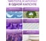 Капсулы для стирки ECOWASH Лаванда 52шт. КапсулыЛаванда 3