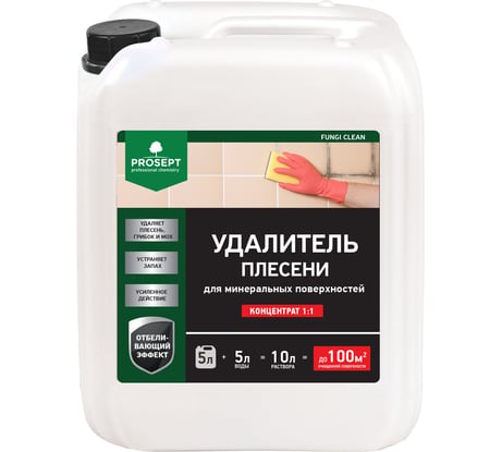 Удалитель плесени PROSEPT FUNGI CLEAN концентрат 1:1, 5 л  019-5