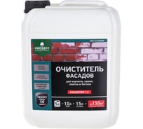 Удалитель высолов с минеральных поверхностей PROSEPT SALT CLEANER, 5л, концентрат 1:2, 021-5 15879464