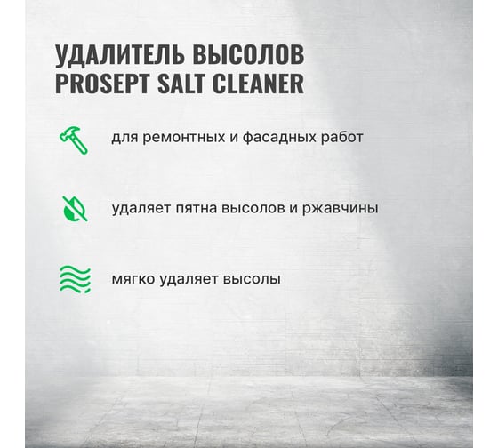 Удалитель высолов с минеральных поверхностей PROSEPT SALT CLEANER, 5л, концентрат 1:2, 021-5