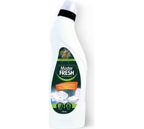 Чистящее средство для различных поверхностей MASTER FRESH концентрат, 750 мл, хвойная свежесть 219581