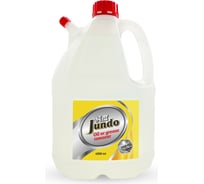 Жироудалитель Jundo Oil or grease remover 4 л 4903720021354