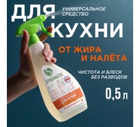 Универсальное средство для кухонных поверхностей SYNERGETIC Мандарин и лемонграсс 500 мл 106053 23820645