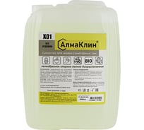 Щелочное моющее средство для санузлов ООО "БАЗОВАЯ ДЕЗИНФЕКЦИЯ" АлмаКлин X01, с активным хлором, 5 л, евро канистра X01-5Л