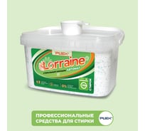 Стиральный порошок PLEX LORRAINE 3 кг, 30 стирок УТ000005054