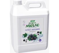 Жидкое мыло с ароматом черной смородины SHIMA HOME LIQUID SOAP 5 л 4603740921428