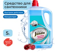 Средство для сантехники Jundo Премиум 5 л 4903720021651