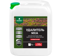 Удалитель мха PROSEPT готовый состав / 5 л 084-5 25458105