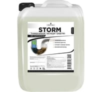 Средство для прочистки труб Profy Mill "STORM" 5 л Р3802-5