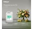 Жидкое мыло TORK (Tellus) Advanced канистра 5 л арт. 409844 25426 16