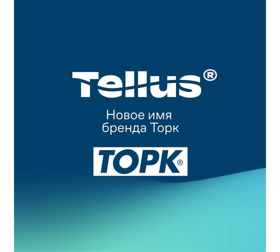 Жидкое мыло-пена TORK Торк Advanced канистра 5 л арт. 409846 25427