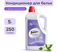 Кондиционер-ополаскиватель для белья Jundo Премиум Свежесть красоты 5 л, концентрированный, 250 стирок 4903720021583