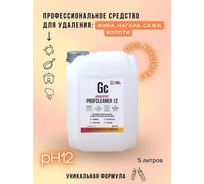 Чистящее жидкое универсальное средство GENOVACHEMICAL Profcleaner 12 концентрат, 5л 73151212005