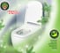 Подвесной блок для унитаза Master Fresh duo effect 5 в 1, хвоя, 2 шт 250644 2