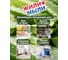 Жидкое крем-мыло Жили-Мыли аромат "Антибактериальное", 5л, ПЭТ, 4623721827457 6