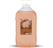 Жидкое мыло Жили-Мыли Хозяйственное 5 л, канистра 4623721540264