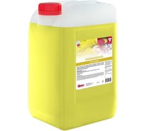 Пятновыводитель АиС Агент E complex 20кг 6030532