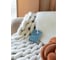Ароматическое саше ARIDA HOME Хюгге №7 Виноград мускат 10 гр АР 100-186 4