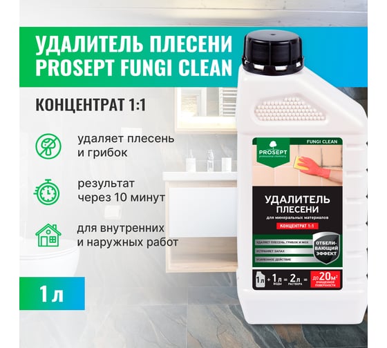 Удалитель плесени PROSEPT FUNGI CLEAN концентрат 1:1, 1 л  019-1