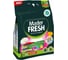 Стиральный порошок Master Fresh color, с энзимами, 2 кг 250652 1