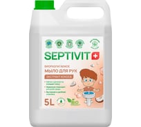 Мыло SEPTIVIT "Кокос", 5л 185_5