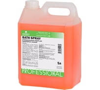 Универсальный спрей для санитарных комнат PROSEPT Bath Spray 5 л 226-5
