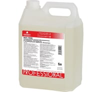 Универсальный пенный обезжириватель PROSEPT Duty Foam 250-5