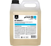 Щелочное высокопенное моющее средство для уборки после пожара PROSEPT DT Black + Концентрат (1:50) 5 л 902DT-5