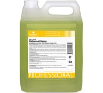 Универсальное моющее и чистящее средство PROSEPT Universal Spray 5 л 105-5 15881593