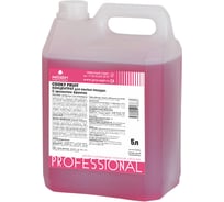 Гель для мытья посуды PROSEPT Cooky Fruit 5 л 127-5
